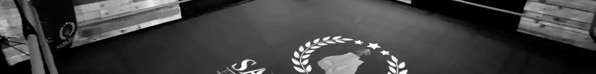 Sanctus Boxing — category banner